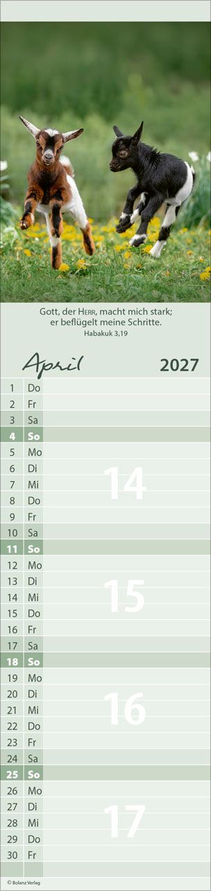 Terminkalender - Für Euch 2027 Streifenterminkalender