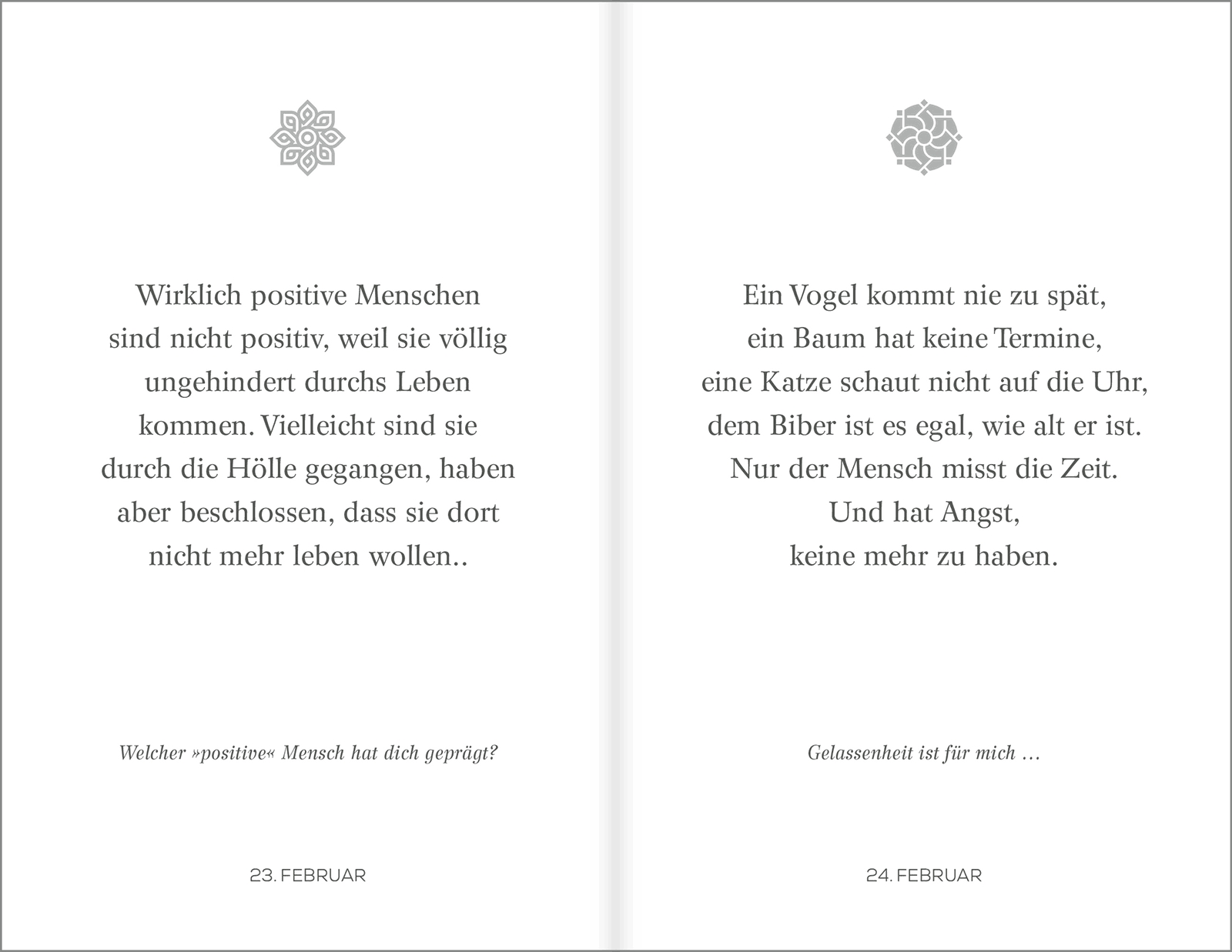 Buch - Mehr Seelenfutter