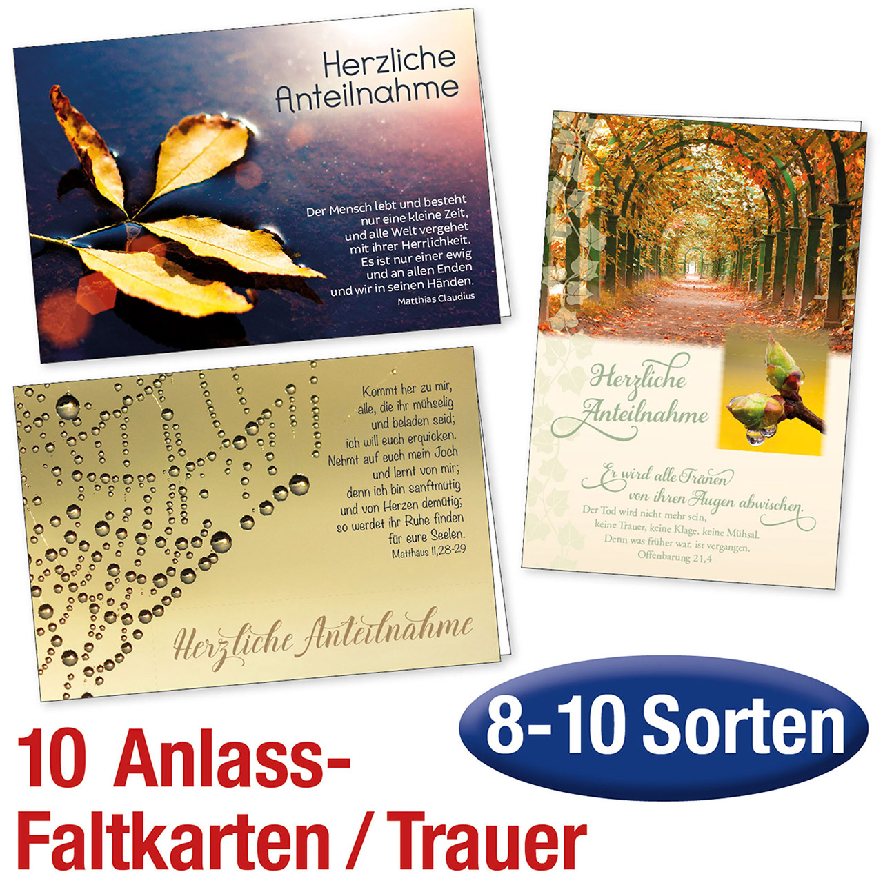 Faltkarte - Spar-Paket