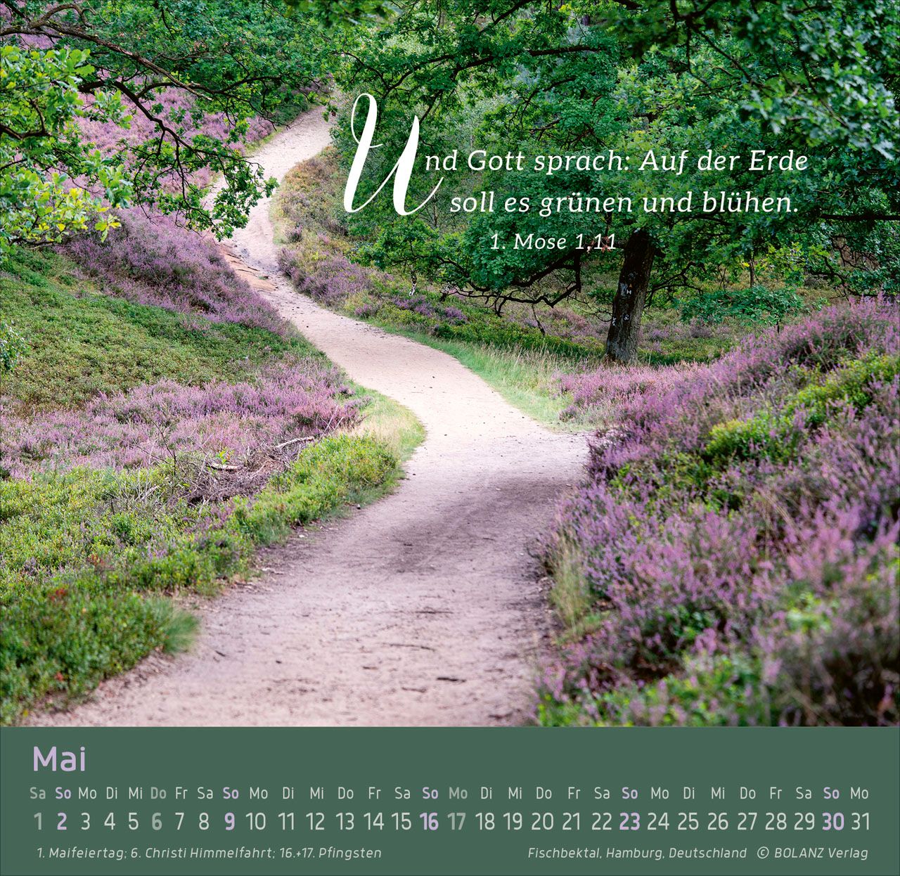 Tischkalender - Weg - Licht - Leben 2027 Tischkalender