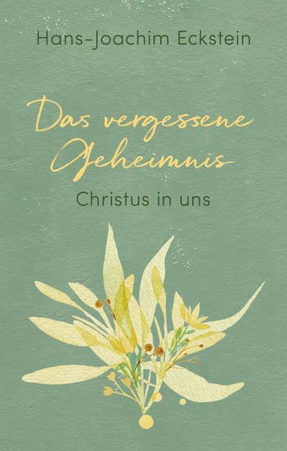 Buch - Das vergessene Geheimnis