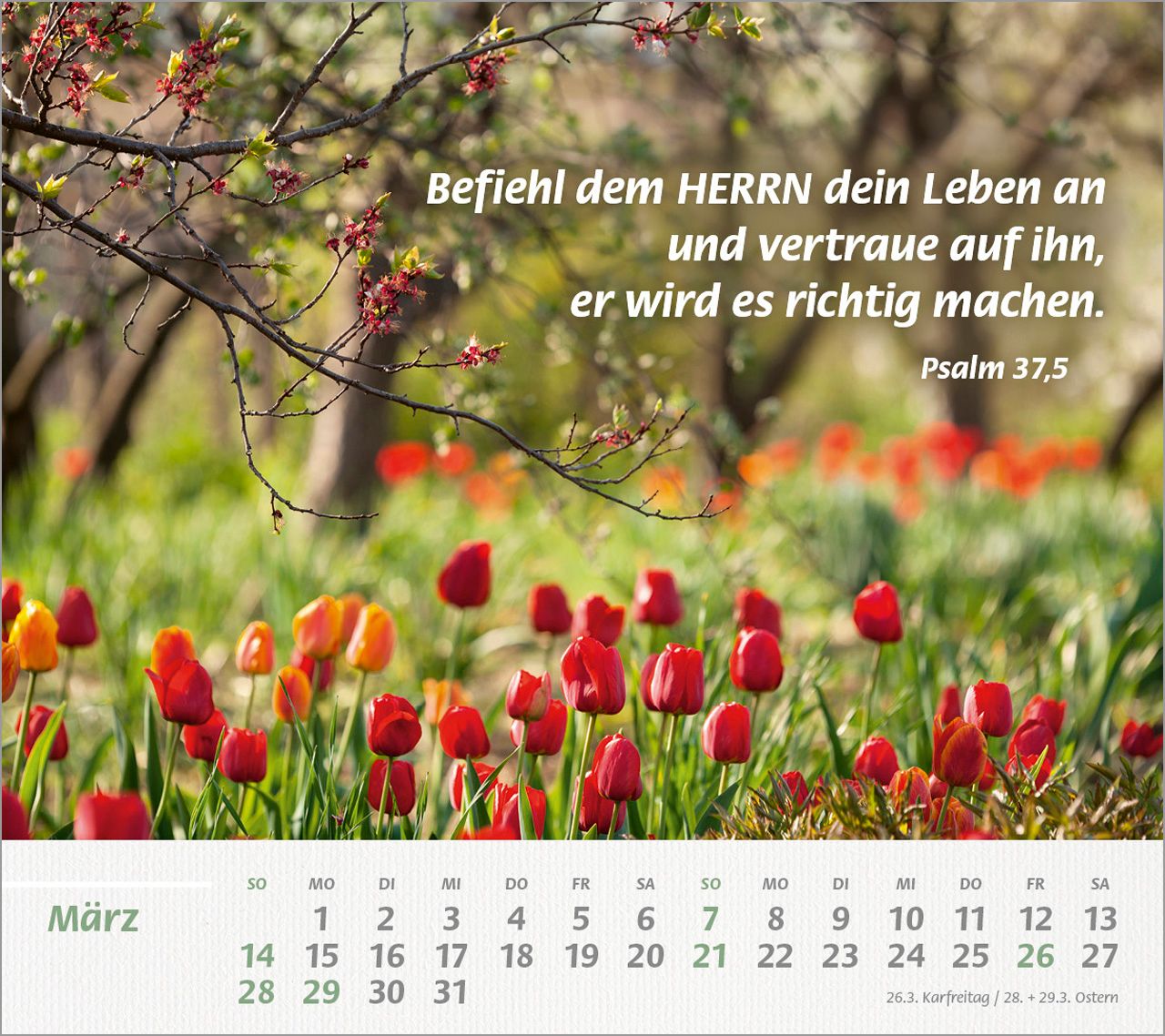 Tischkalender - Du bist meine Stärke 2027