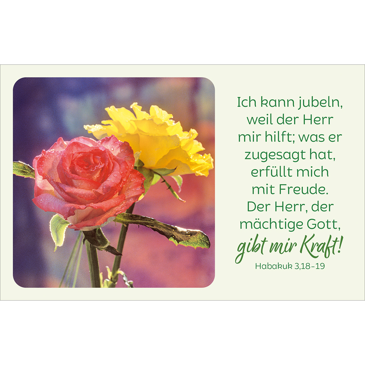 Karten-Box Kunststoff - Blütenreiche Bibelverse - Sonnenblumen