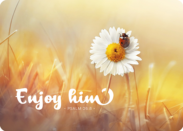 Postkarte - Postkarte 'Enjoy him'