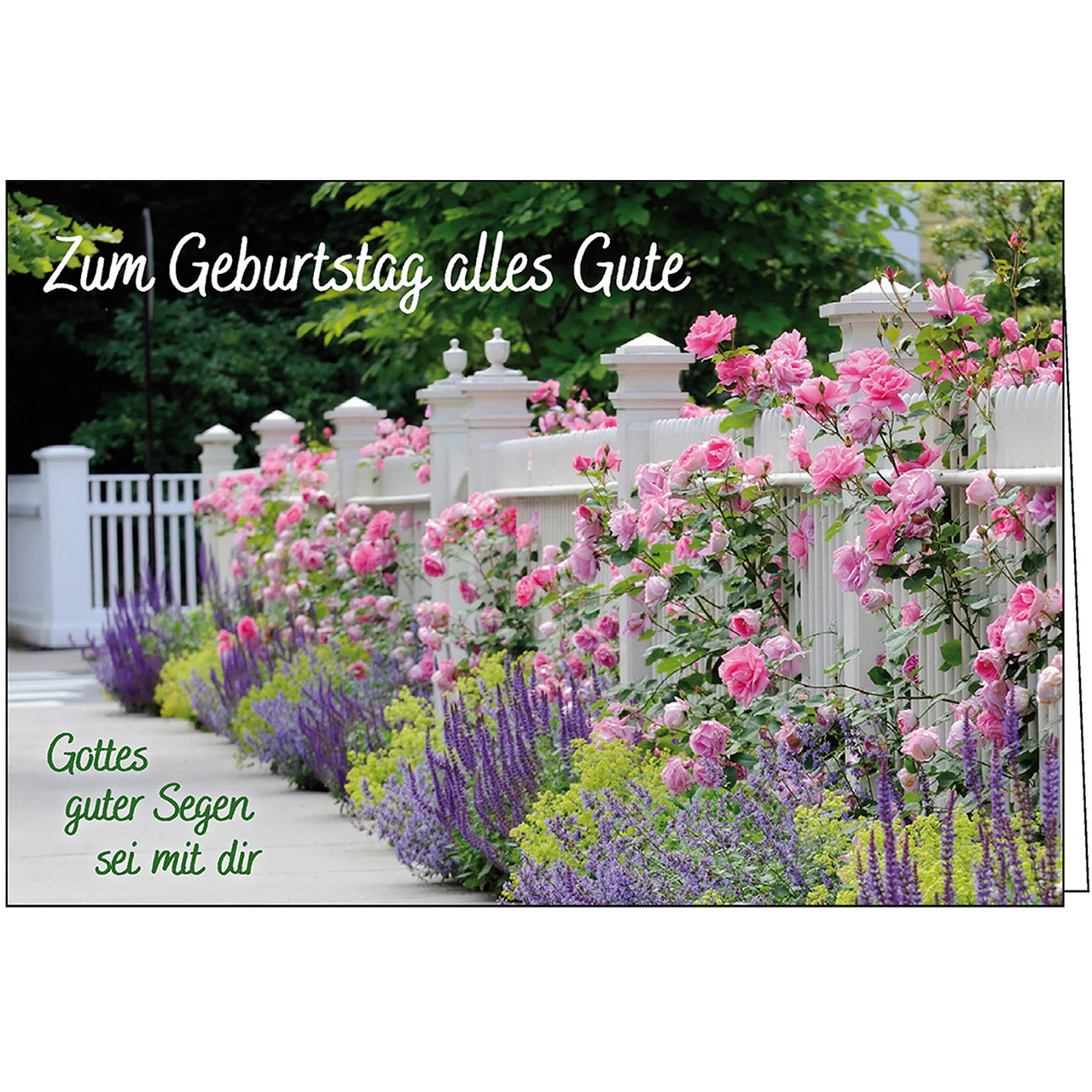 Zum Geburtstag alles Gute