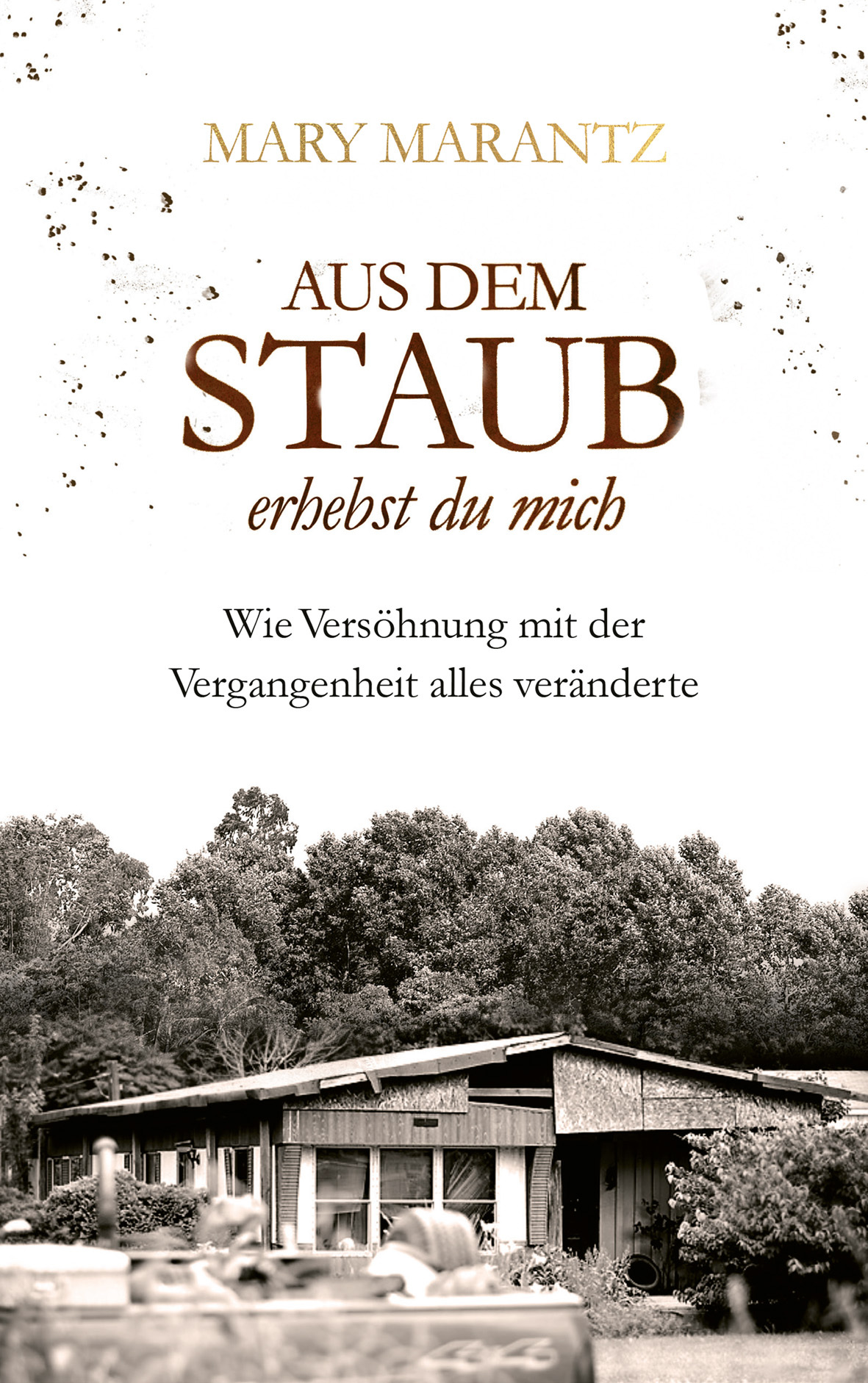 Buch - Aus dem Staub erhebst du mich - Haus Wald Bäume