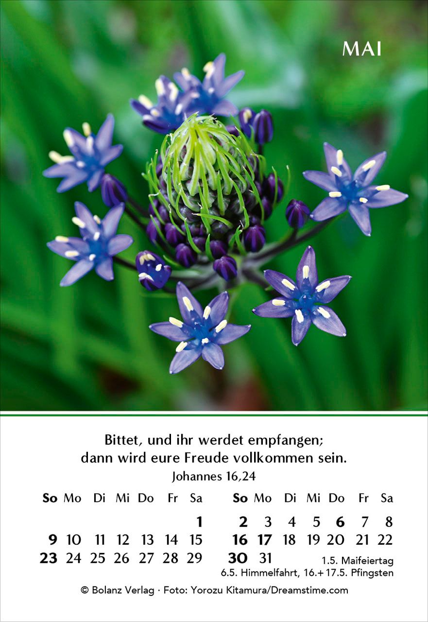 Aufstellkalender - Ein Jahr der Freude 2027