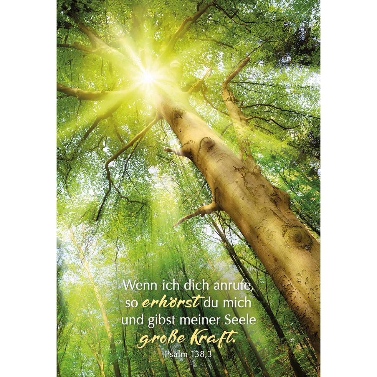 Karten-Box Papier - Lichtgedanken - Heute und morgen in Gott geborgen - Sonnenaufgang Berglandschaft Strahlen Berge