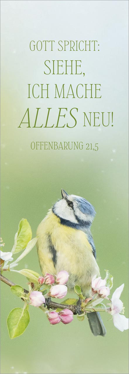 Lesezeichen 'Gott spricht: Siehe, ich mache alles neu!      Offenbarung 21,5'