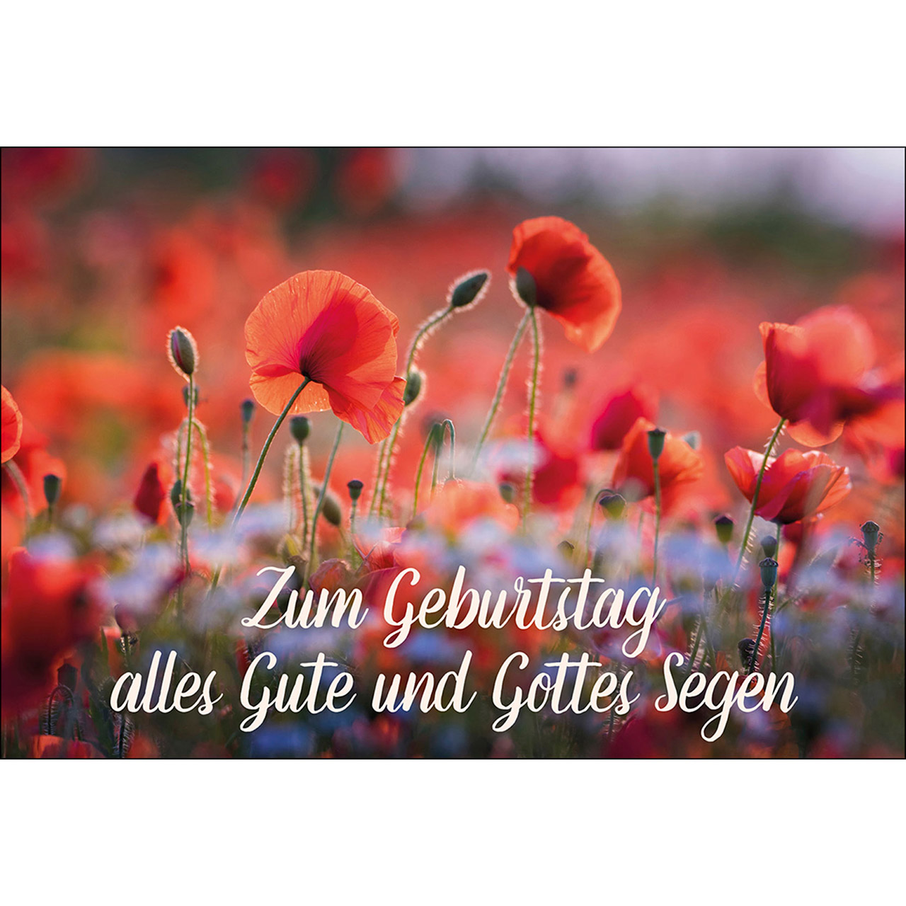 Zum Geburtstag alles Gute Zum Geburtstag alles Gute