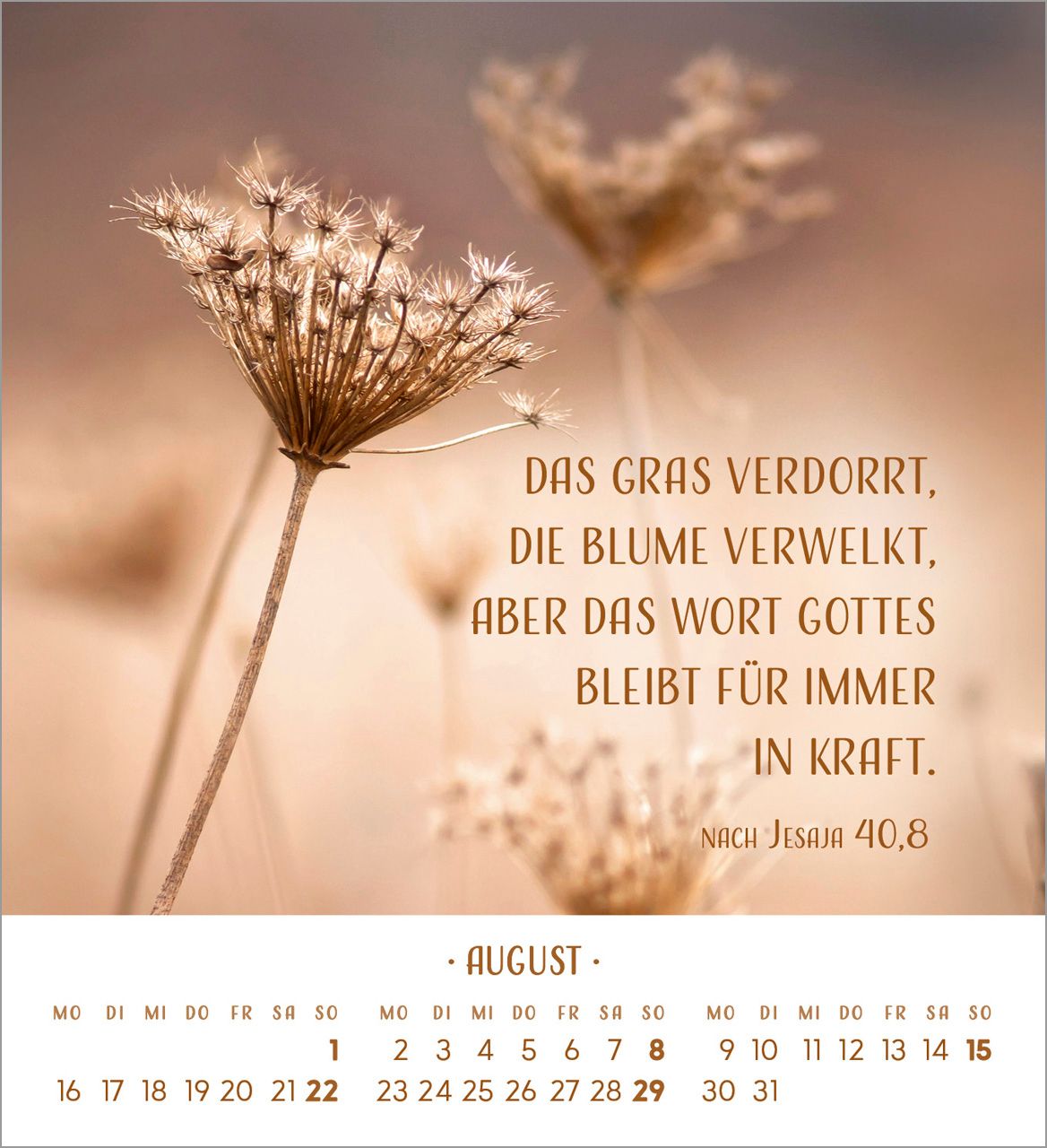Tischkalender - Zarte Blumengrüße 2027