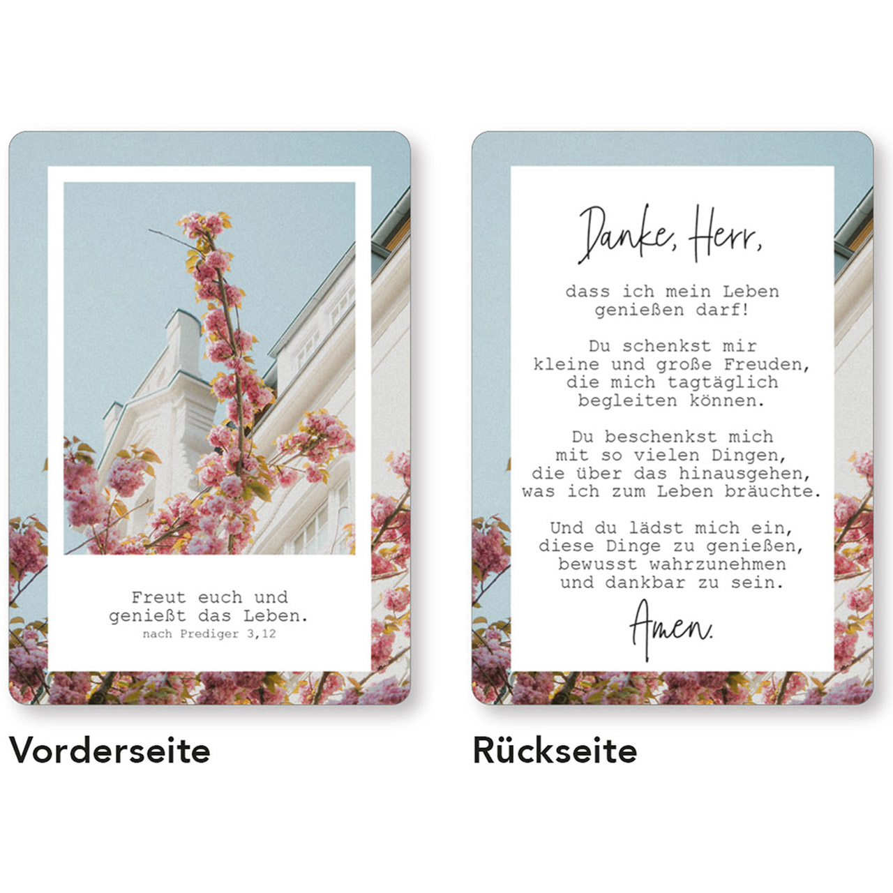 Karten-Box Papier - Gesegnet & getragen - Heißluftballons