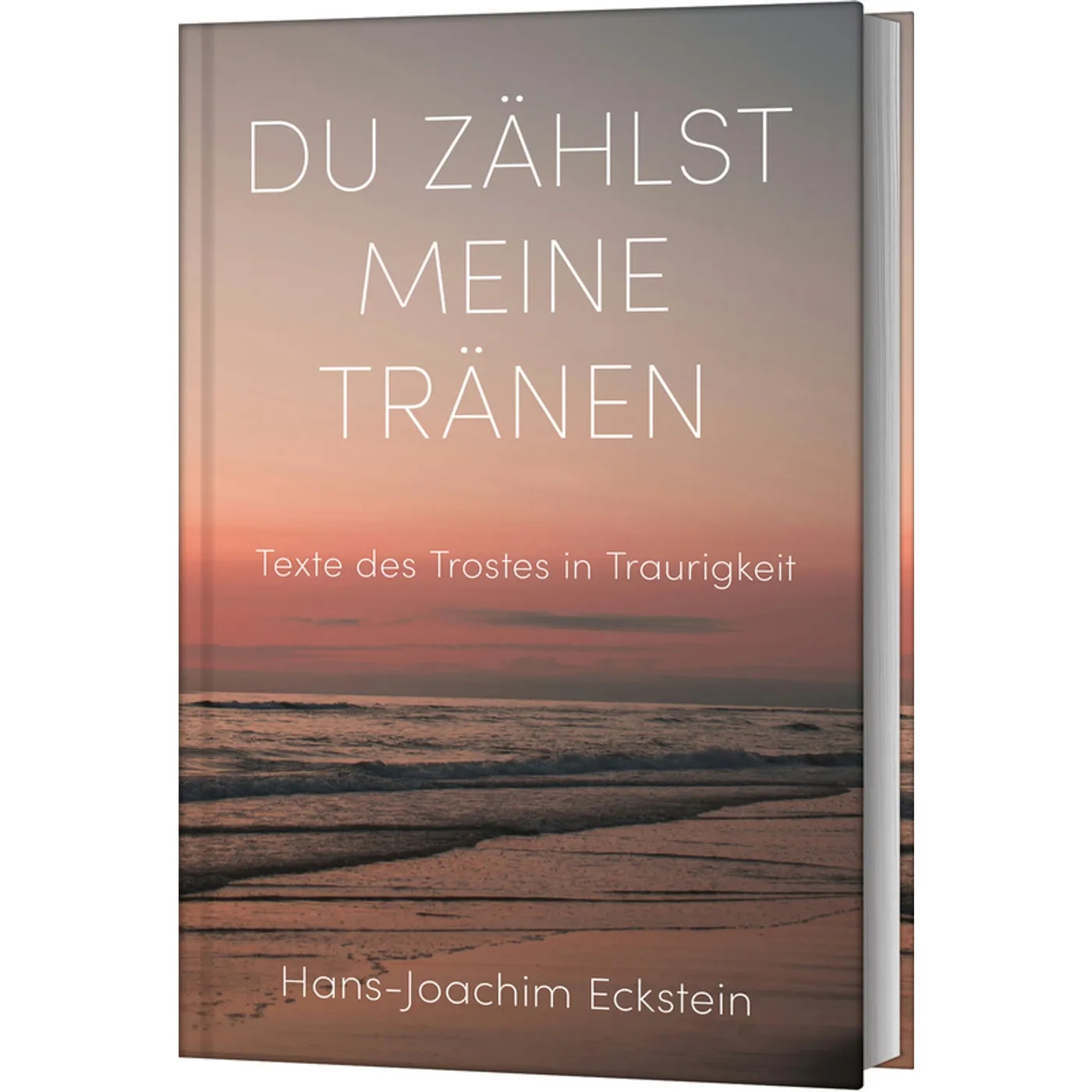 Buch - Du zählst meine Tränen
