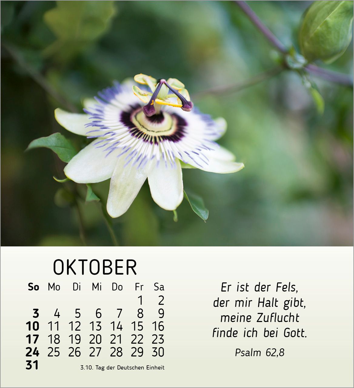 Tischkalender - Ich wünsch dir Freude 2027