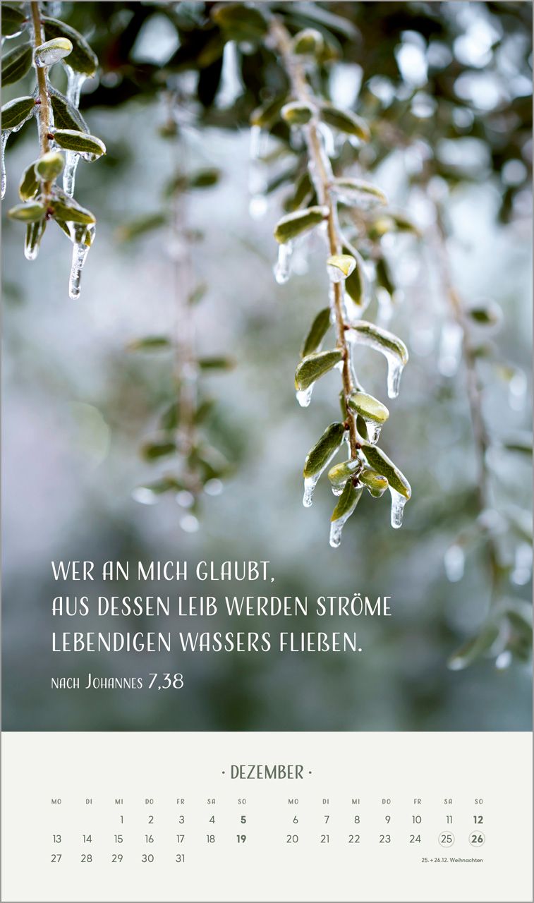 Posterkalender - Zarte Blumengrüße 2027 Posterkalender