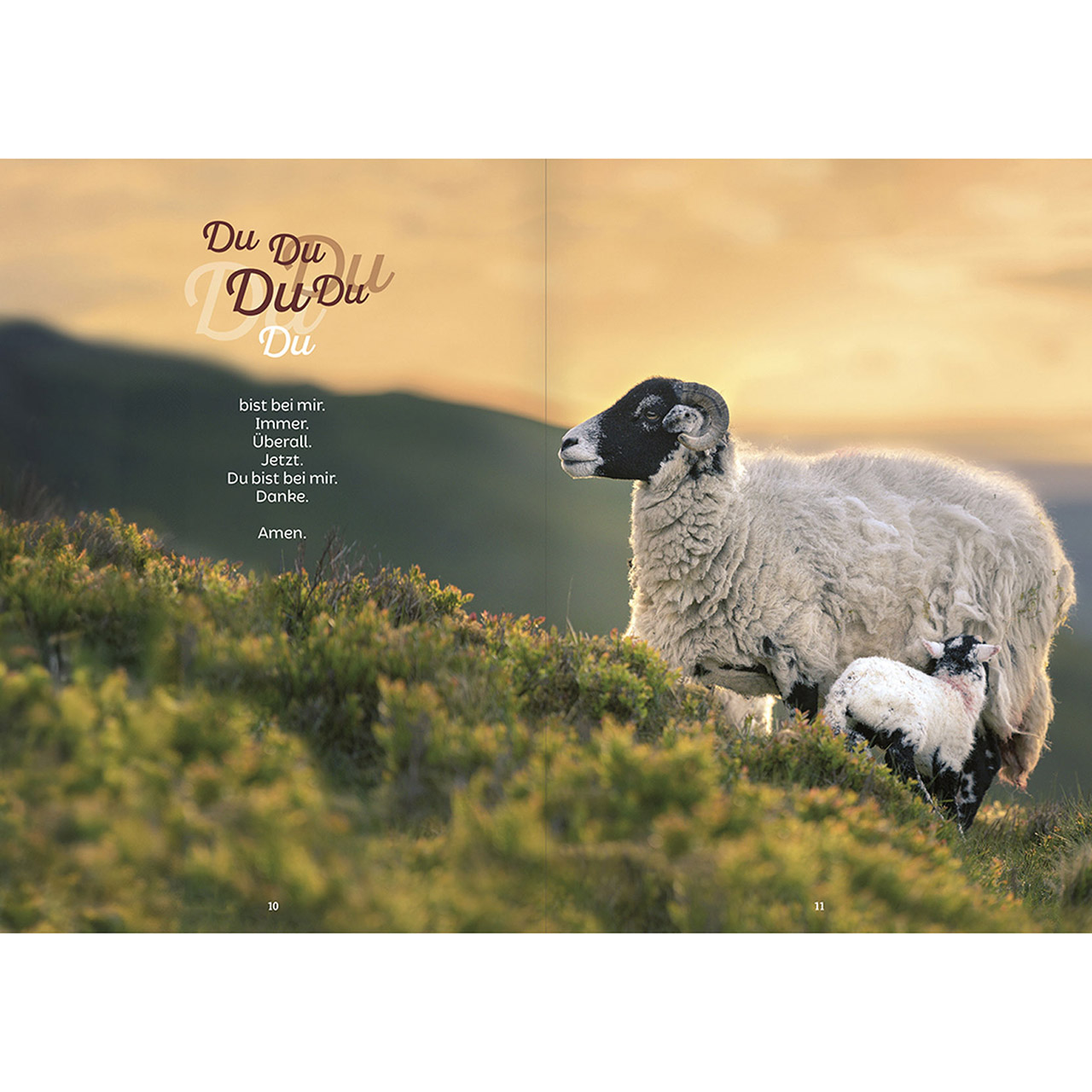 Grußheft - Nichts wird mir mangeln - Hirte Schafe Lam auf Arm