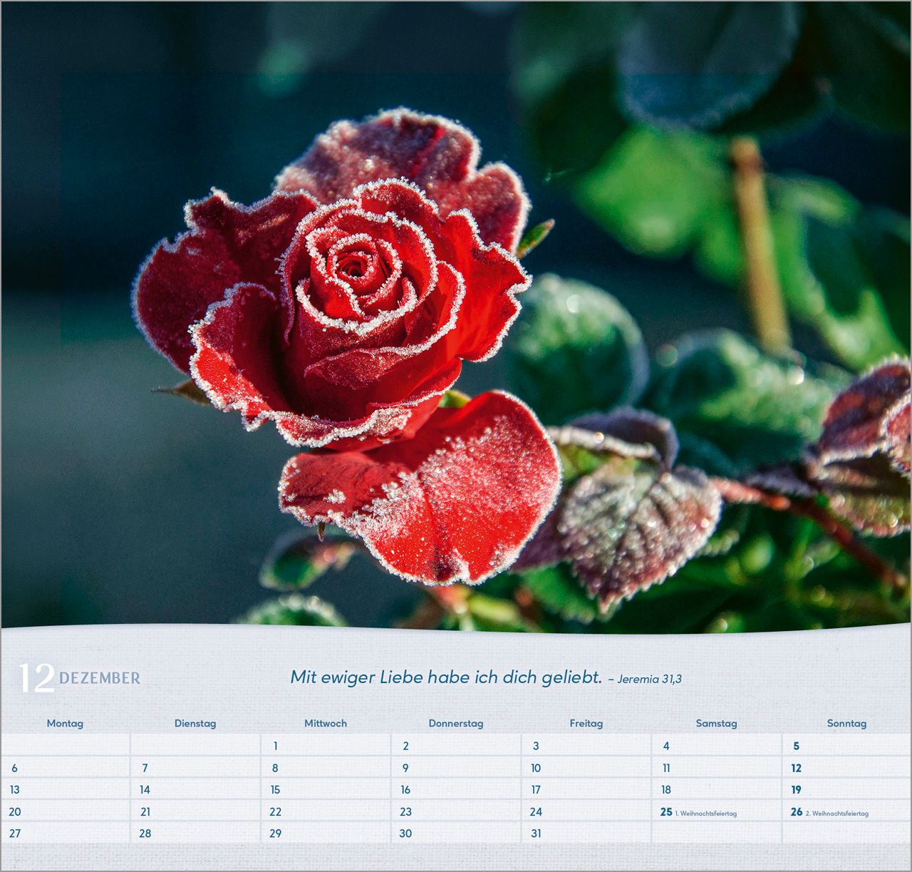 Wandkalender - Rosen 2027 Wandkalender
