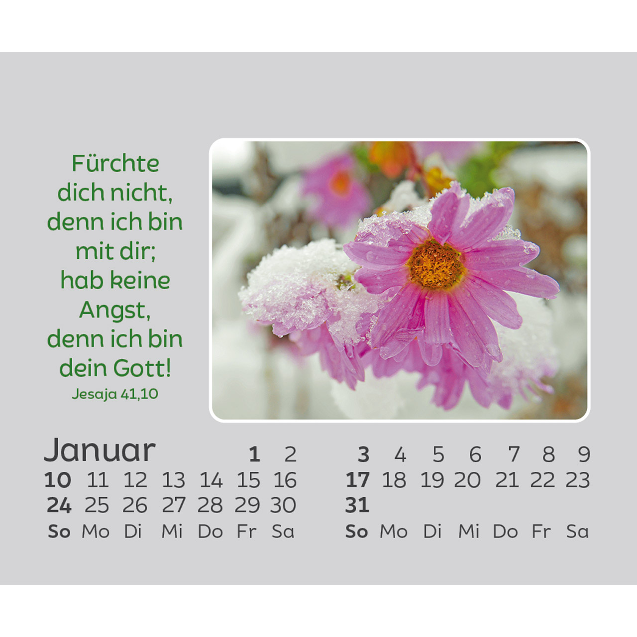 Aufstellkalender - Freude für jeden Tag 2027