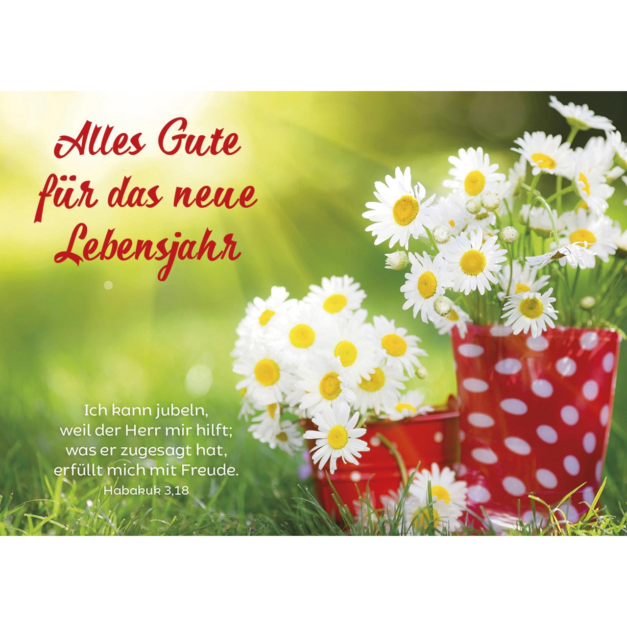 Alles Gute für das neue Lebensjahr