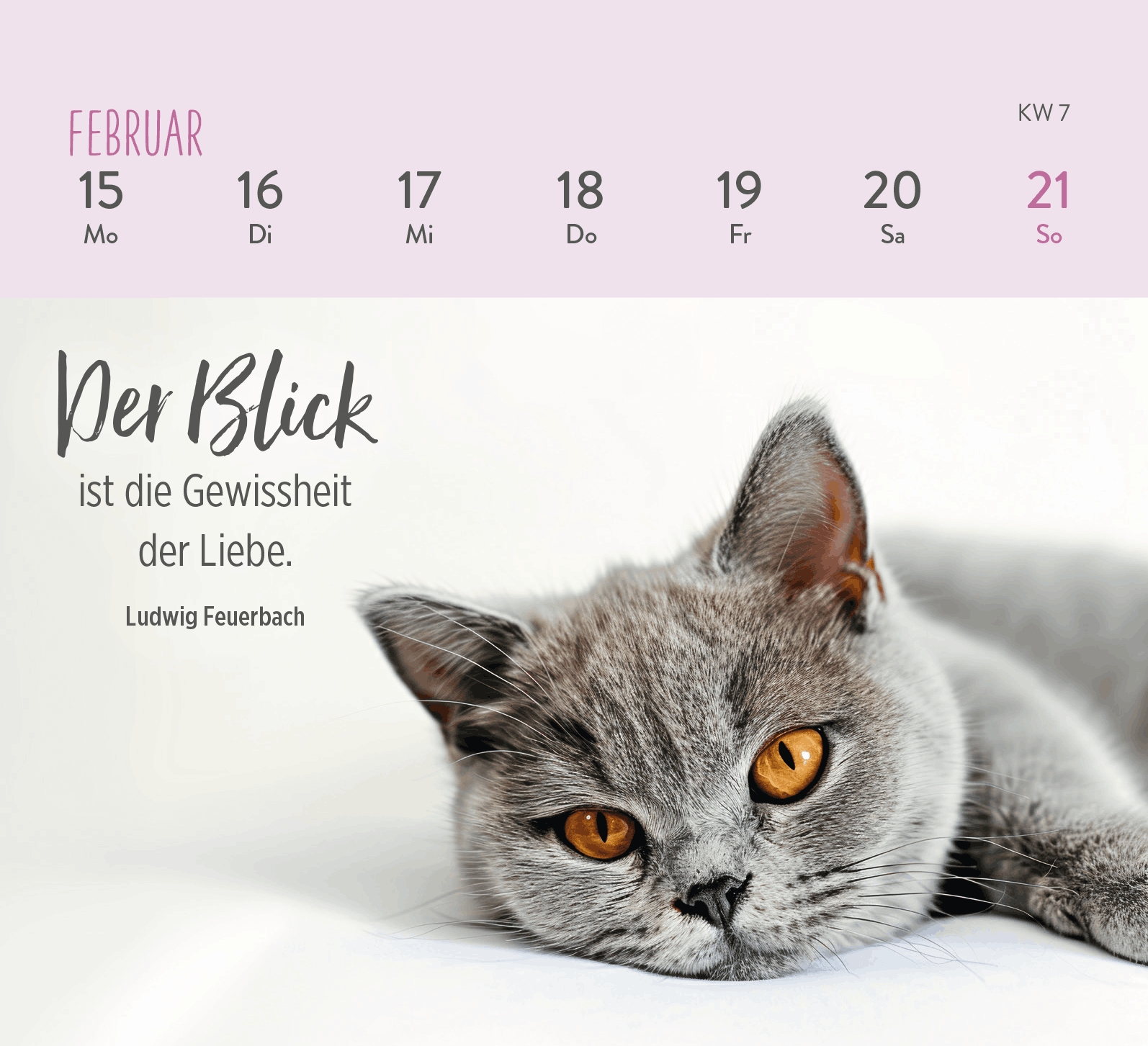 Aufstellkalender - Für Katzenfreunde 2027