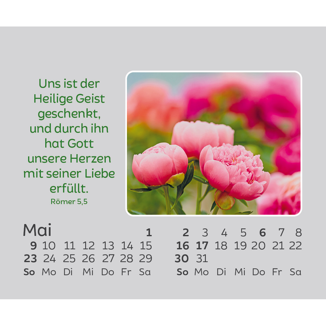 Aufstellkalender - Freude für jeden Tag 2027