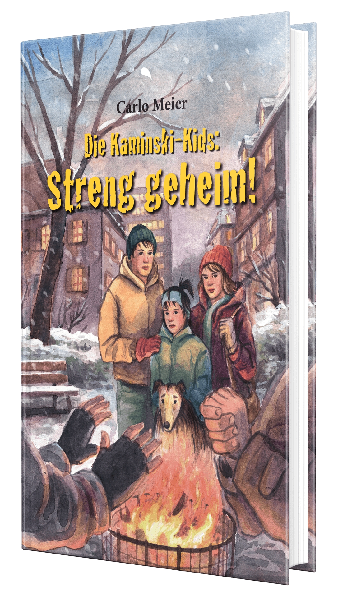 Buch - Die Kaminski-Kids: Streng geheim!