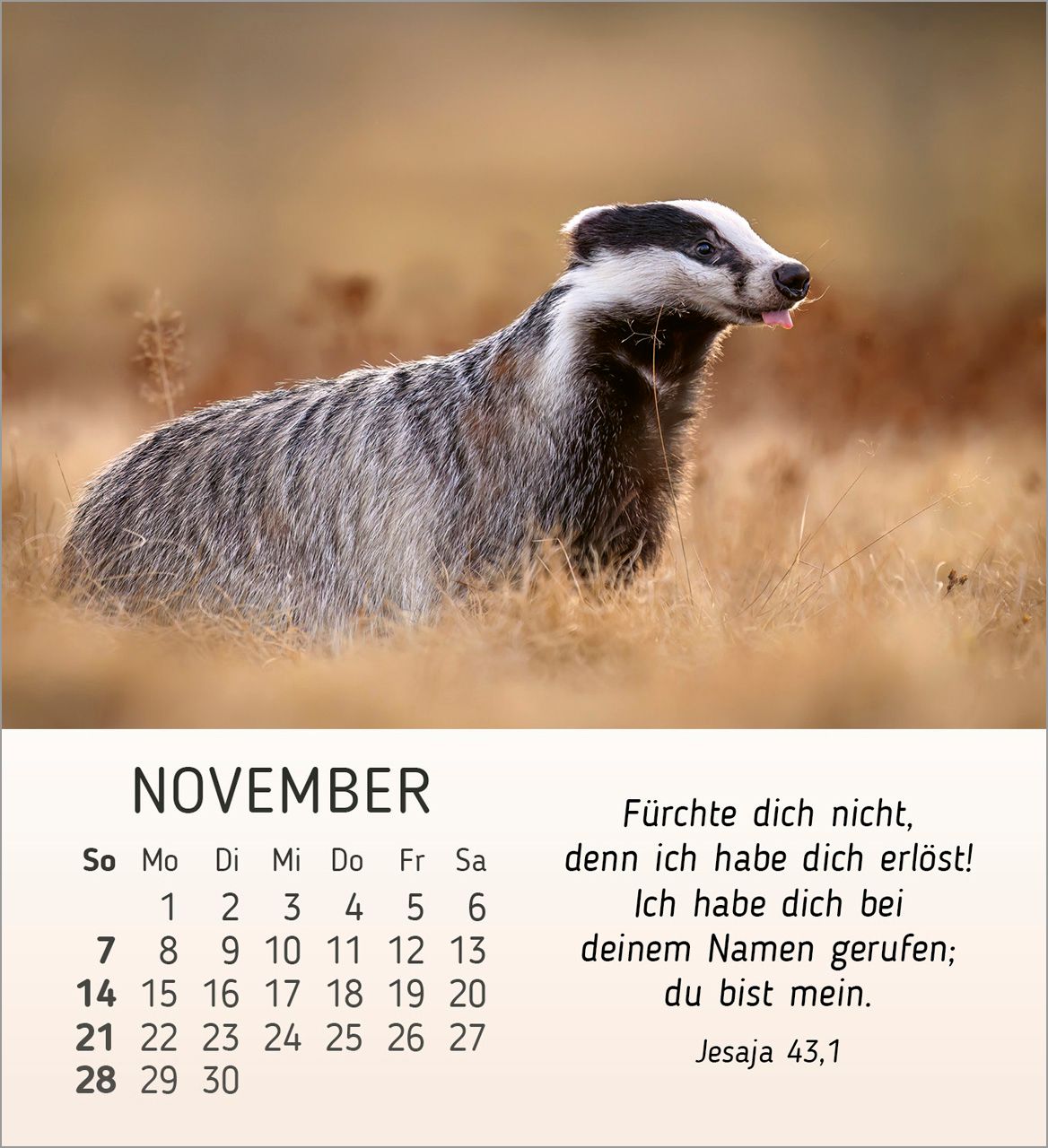 Tischkalender - Stille Begegnungen 2027