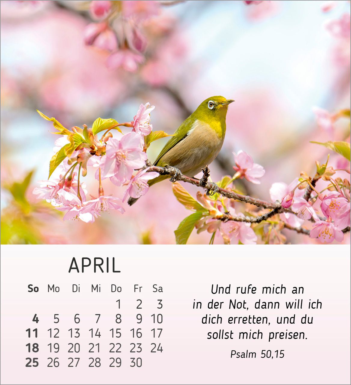 Tischkalender - Stille Begegnungen 2027