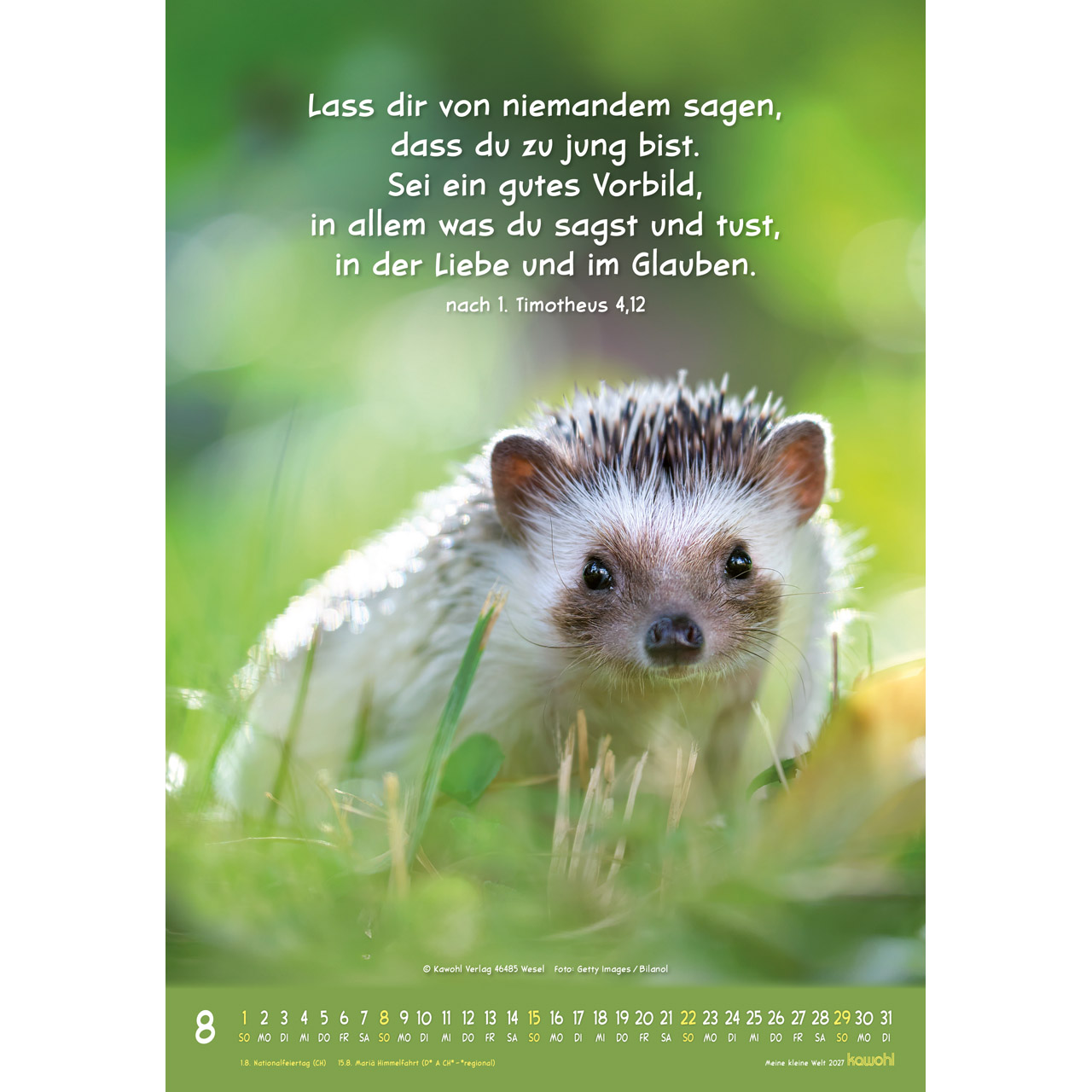 Wandkalender - Meine kleine Welt 2027