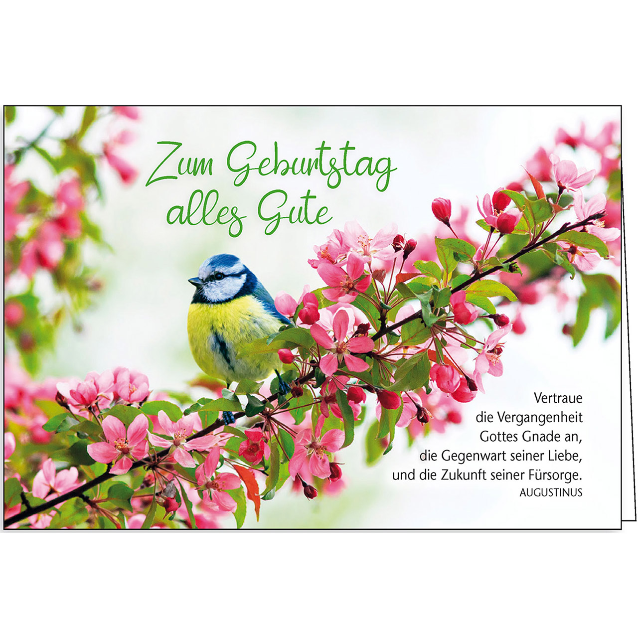 Zum Geburtstag alles Gute