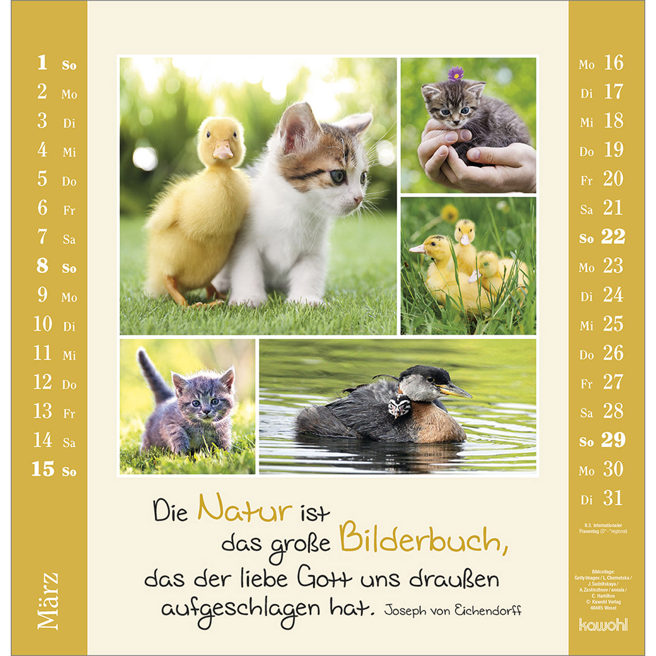 Wandkalender - Kleine Freuden entdecken 2026