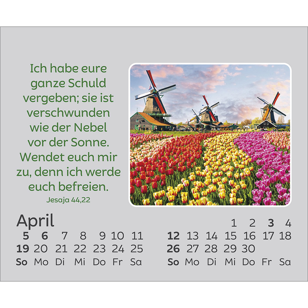 Tischkalender - Freude für jeden Tag 2026