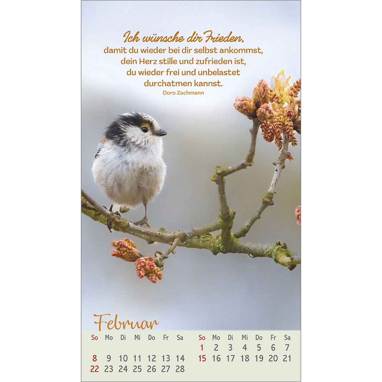Postkartenkalender - Beflügelt und geborgen 2026