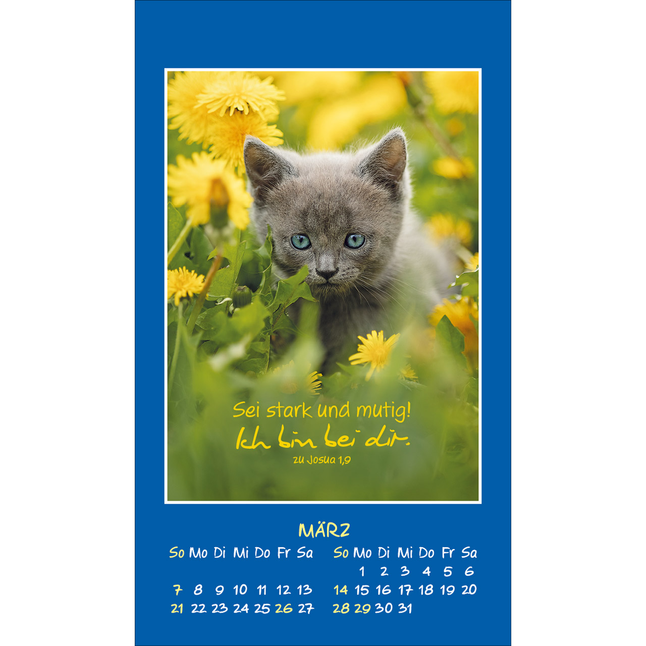 Aufkleberkalender - Mini Katzen-Tatzen 2027 - Katzen
