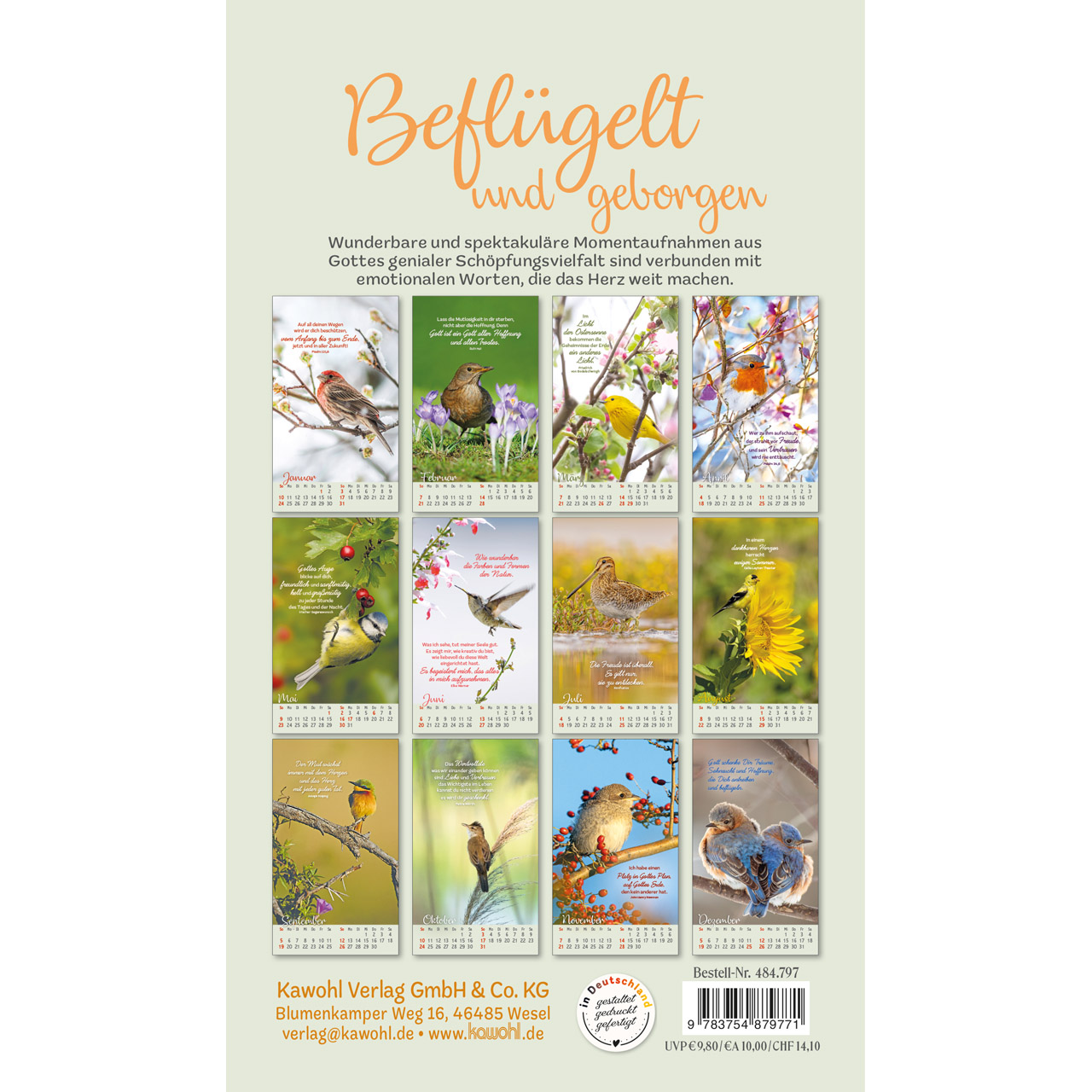 Postkartenkalender - Beflügelt und geborgen 2027