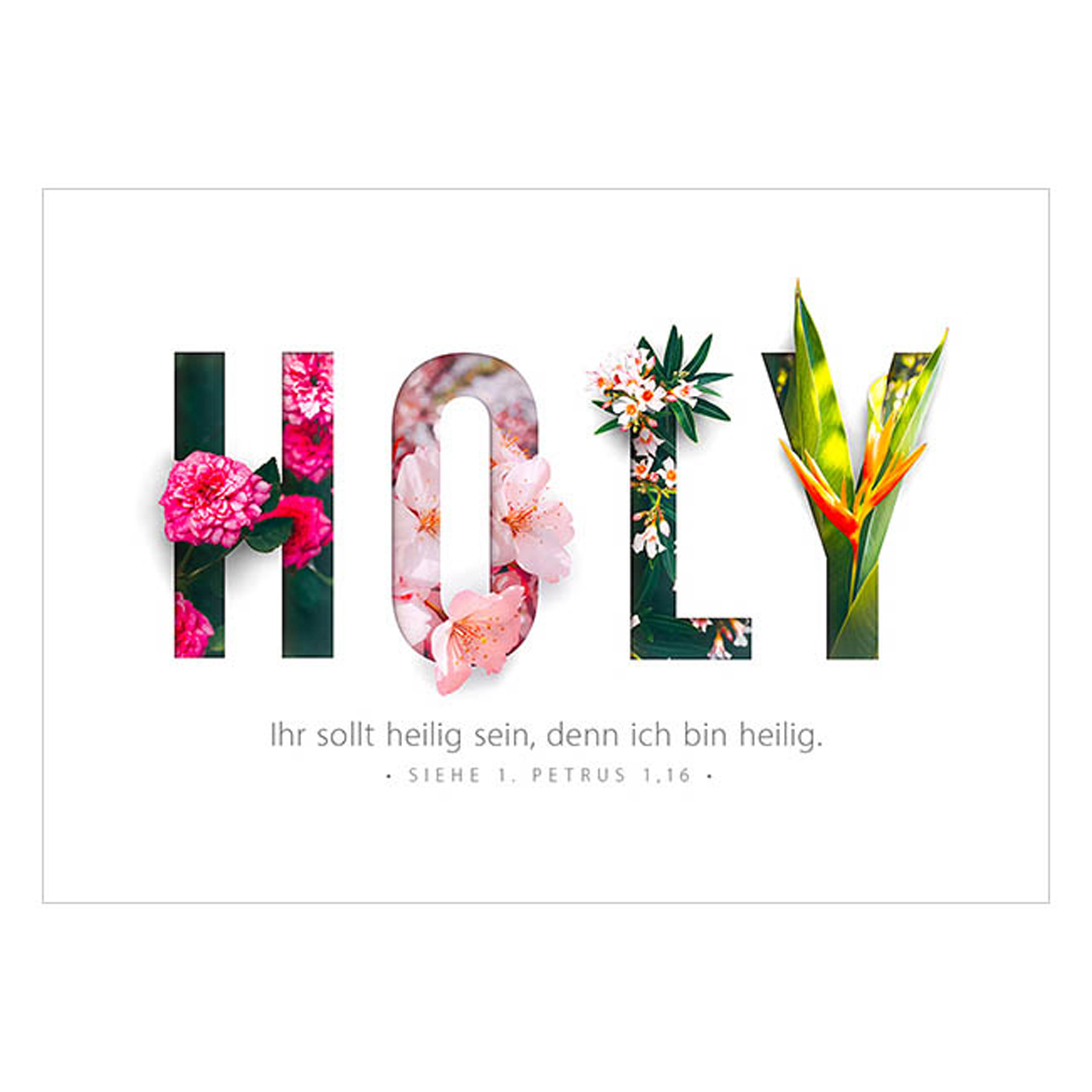 Postkarte - Postkarte 'HOLY' 1EX - Blumen Blüten