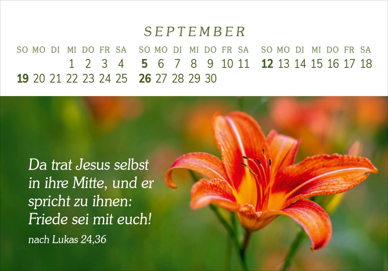 Panoramakalender - Das Geschenk der Freude 2027