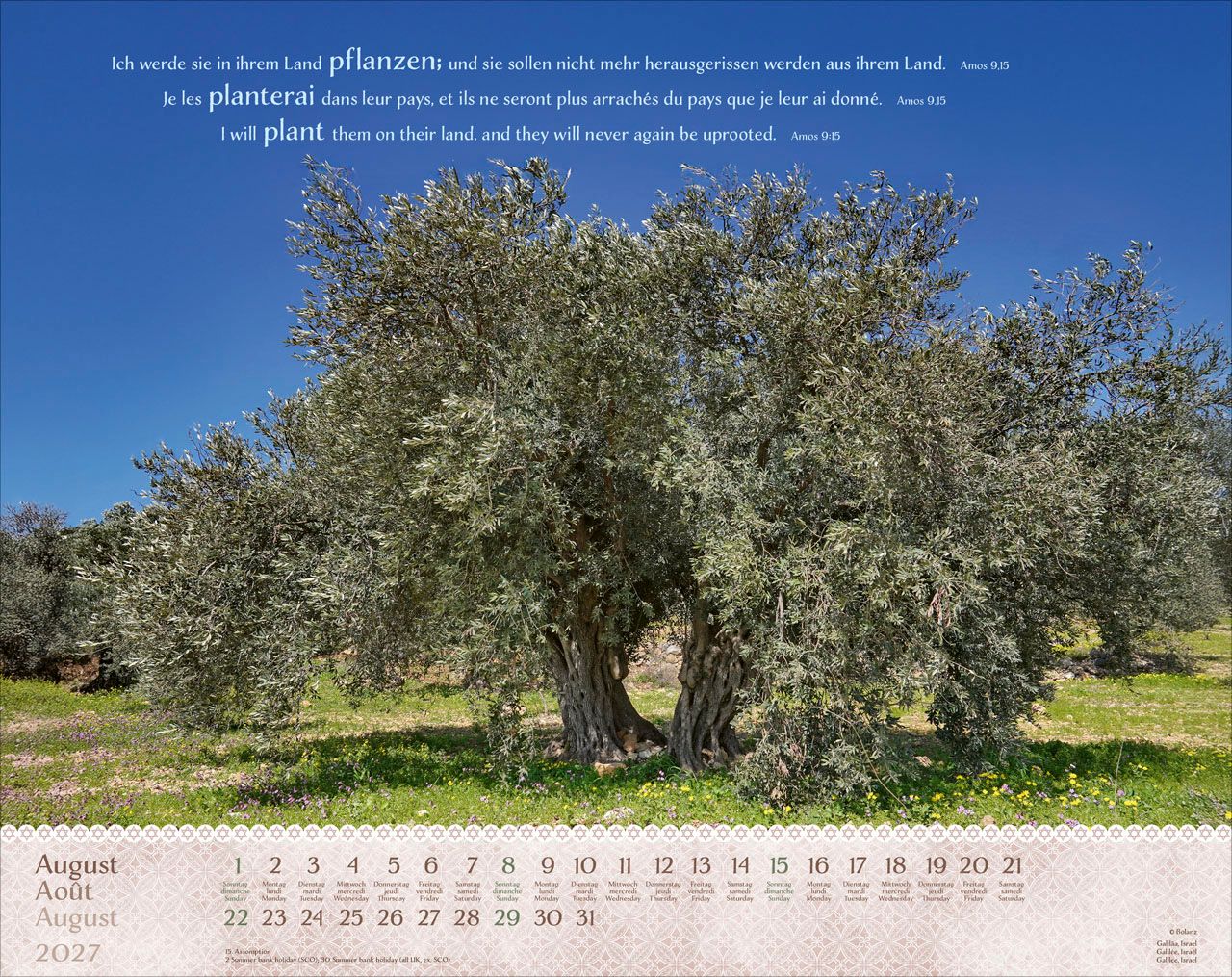 Wandkalender - Israel Shalom 2027 Wandkalender