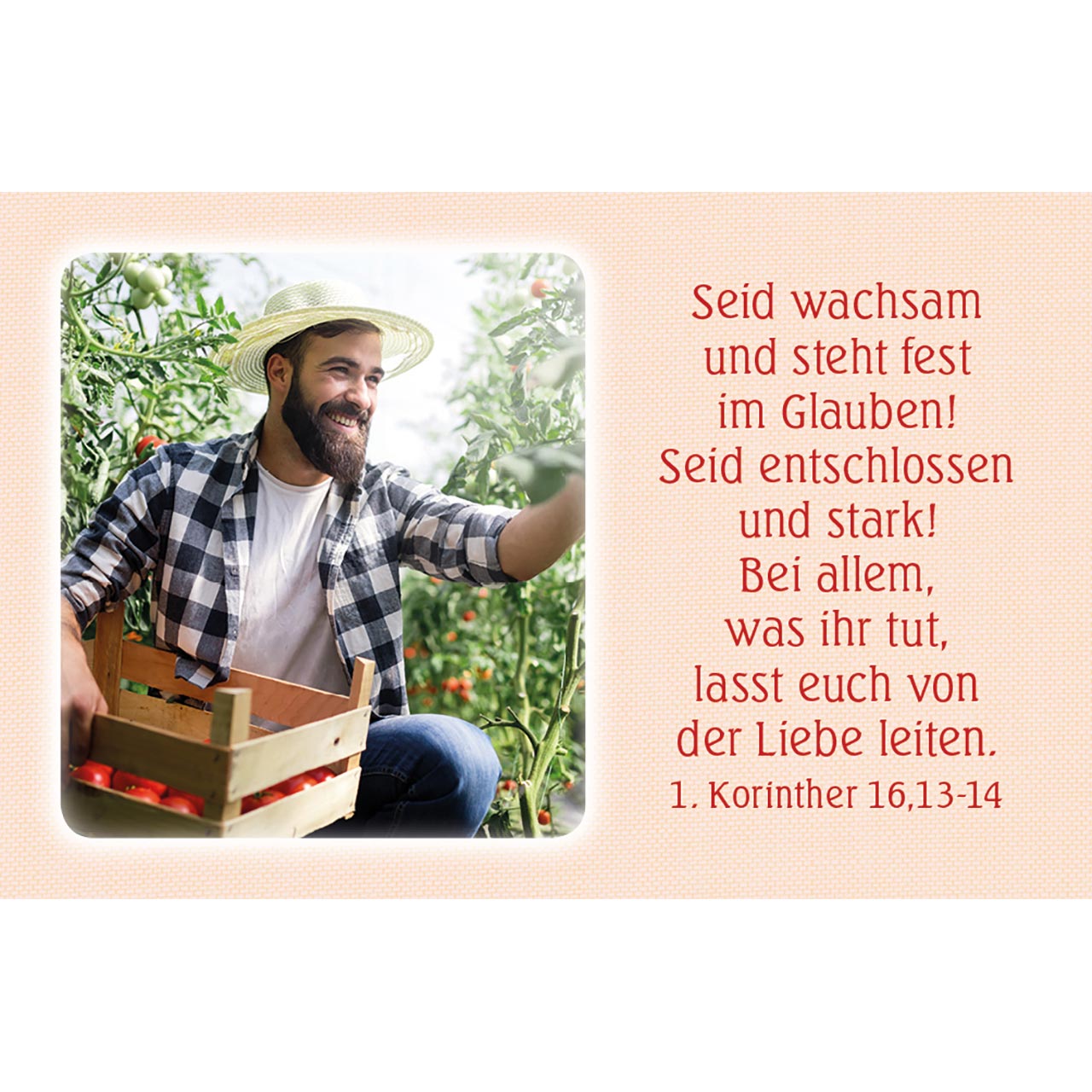 Karten-Box Kunststoff - Täglich neue Kraft - Äpfel / Obst-Korb
