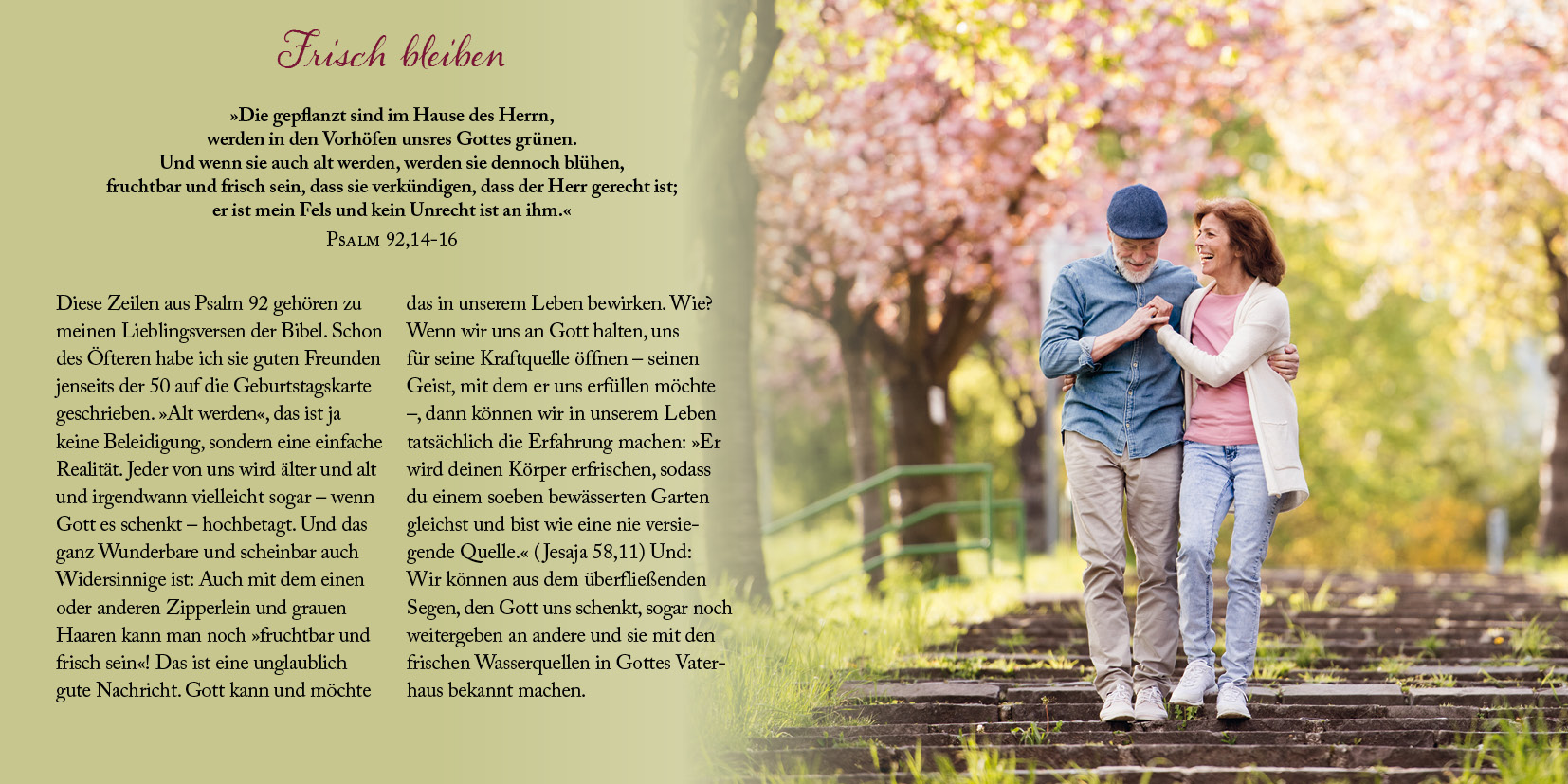 Grußheft - Siehe, ich will ein Neues schaffen