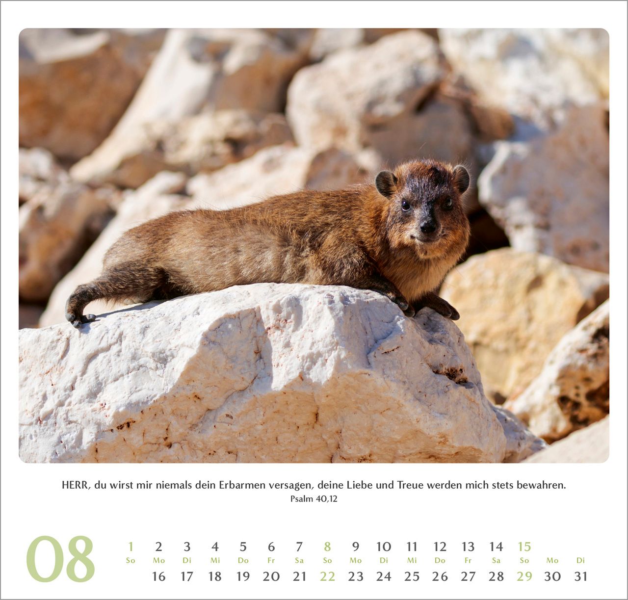 Wandkalender - Geliebtes Israel 2027 Wandkalender