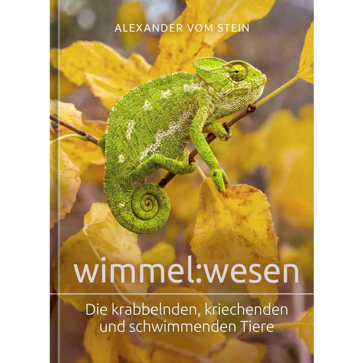 Buch - wimmel:wesen