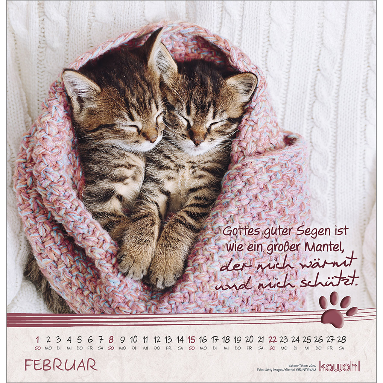 Wandkalender - Katzen-Tatzen 2026