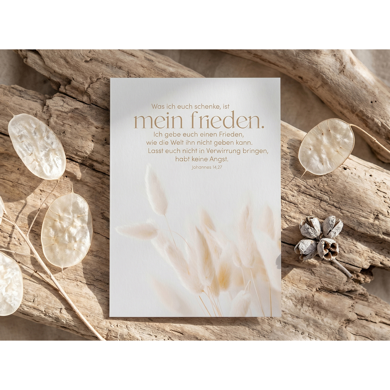 Postkarten - mein frieden. - Pampasgras Grafik