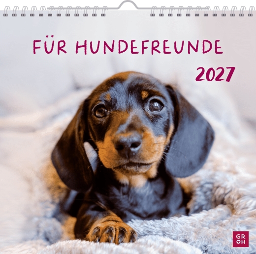 Wandkalender - Für Hundefreunde 2027