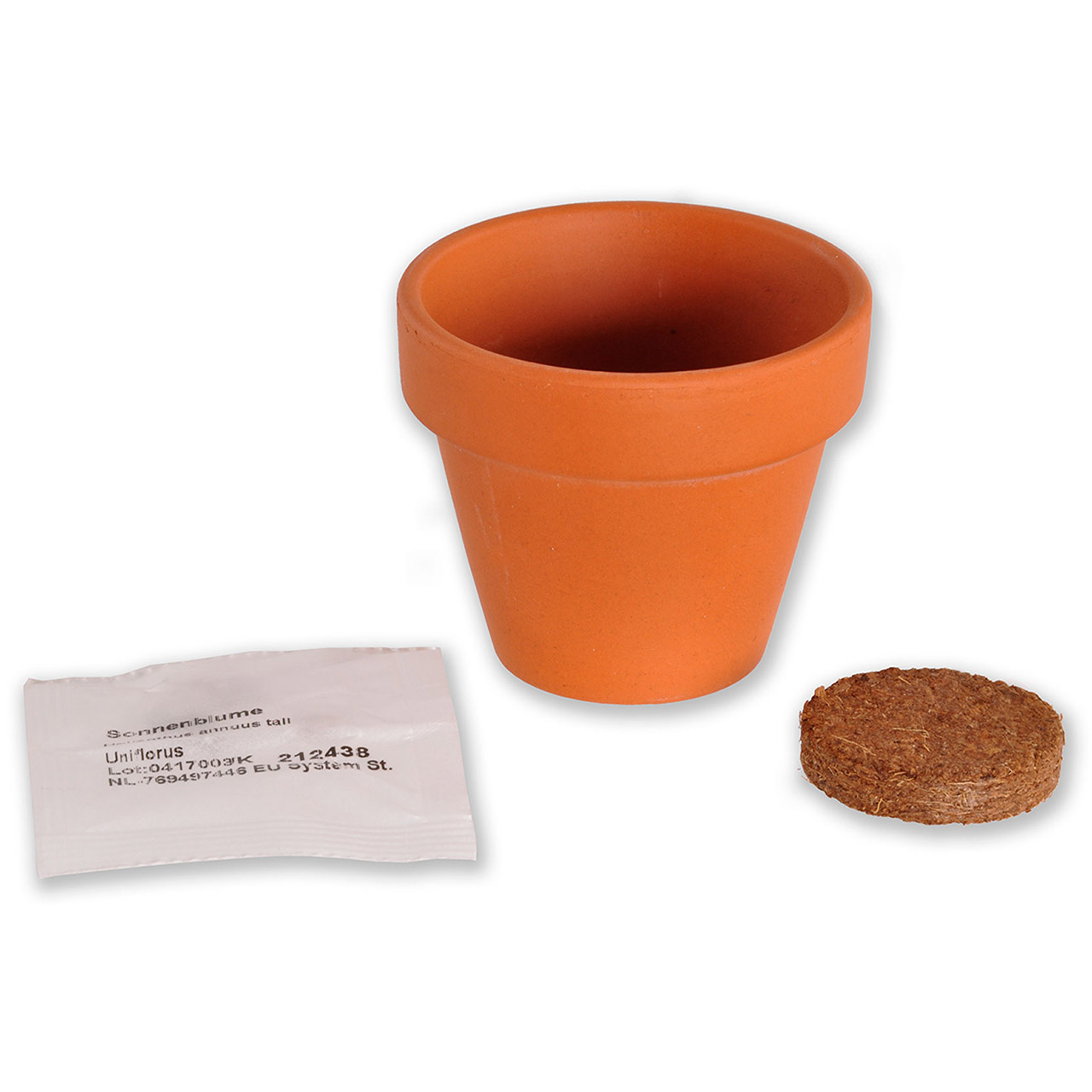 Blumengruß - Sonnige Glückwünsche - Zeichnung Sonnenblume