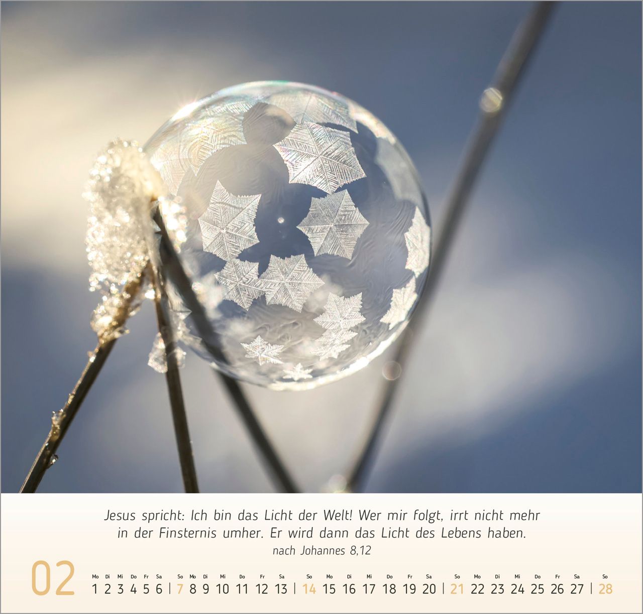 Wandkalender - Licht-Impressionen 2027 Wandkalender
