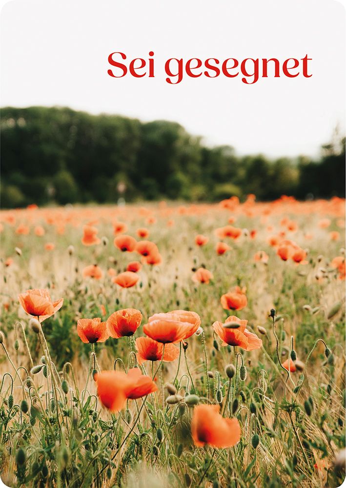 Postkarte - Postkarte "Sei gesegnet"