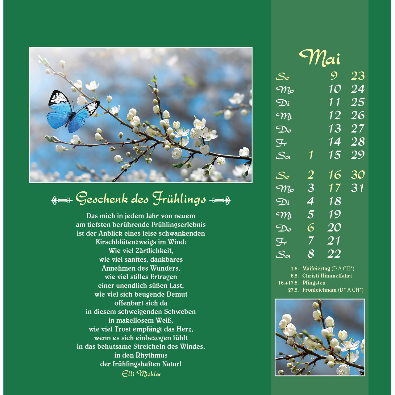 Postkartenkalender - Gute Wünsche sollen dich begleiten 2027