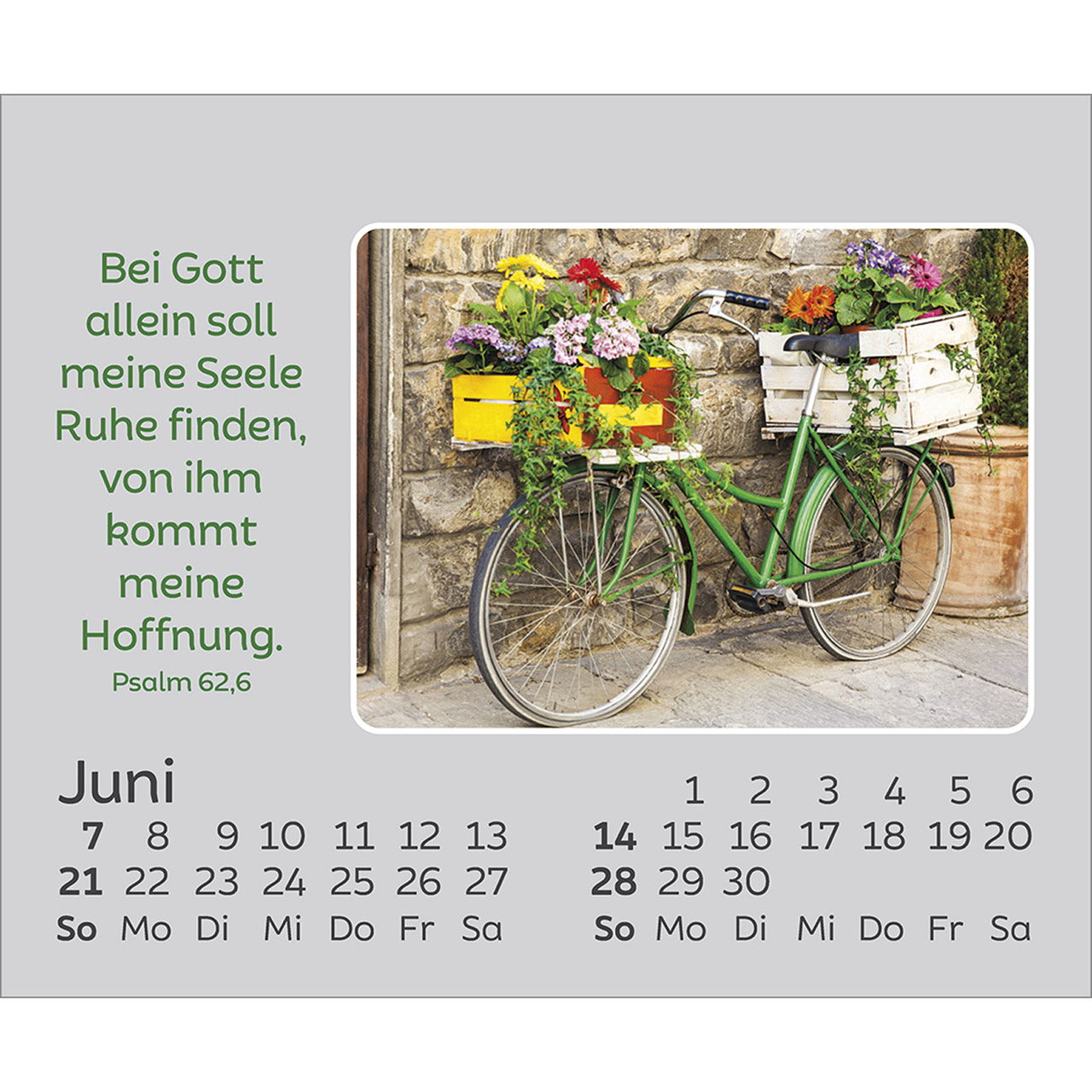 Tischkalender - Freude für jeden Tag 2026
